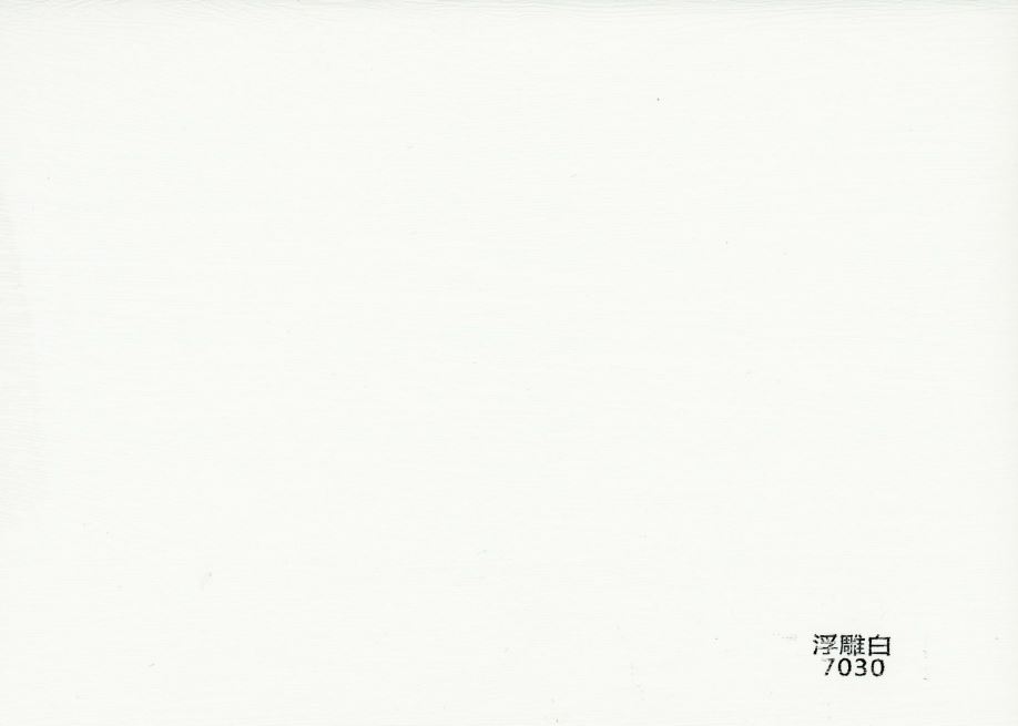 四川集成墙面浮雕白